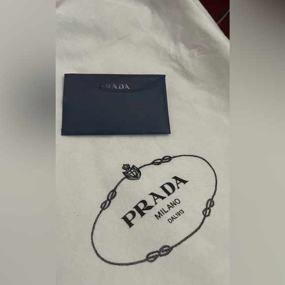 Prada bag with dust - Picture 9 of 11